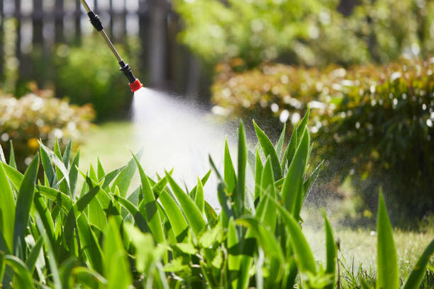 24/7 Emergency Cockroach Control experts in Baldwin Park, CA